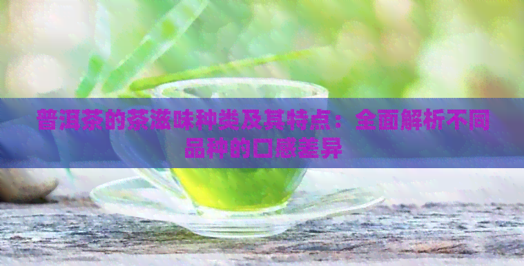 普洱茶的茶滋味种类及其特点：全面解析不同品种的口感差异