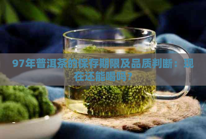 97年普洱茶的保存期限及品质判断：现在还能喝吗？