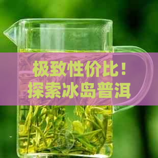 极致性价比！探索冰岛普洱熟茶的完美之选