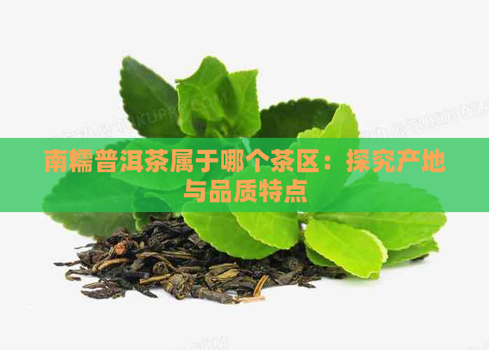 南糯普洱茶属于哪个茶区：探究产地与品质特点