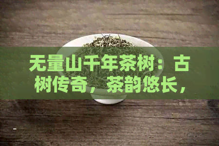 无量山千年茶树：古树传奇，茶韵悠长，生态环保，文化传承