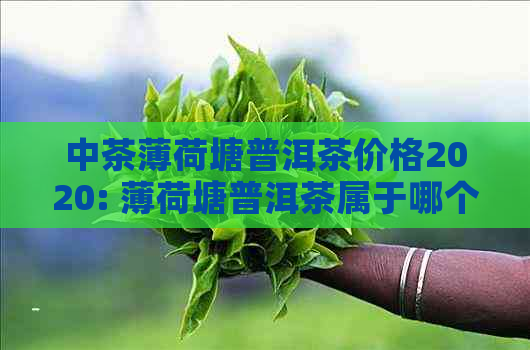 中茶薄荷塘普洱茶价格2020: 薄荷塘普洱茶属于哪个茶山？