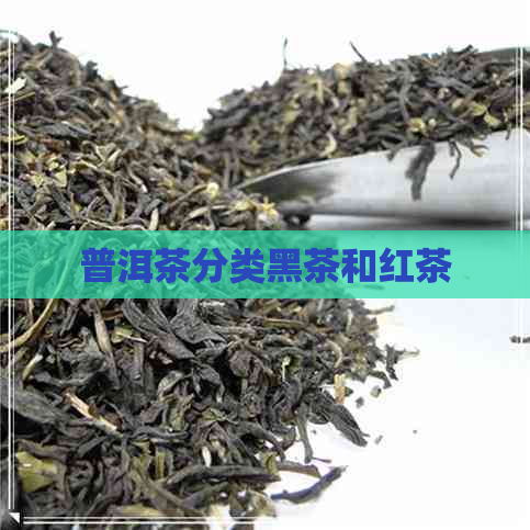 普洱茶分类黑茶和红茶