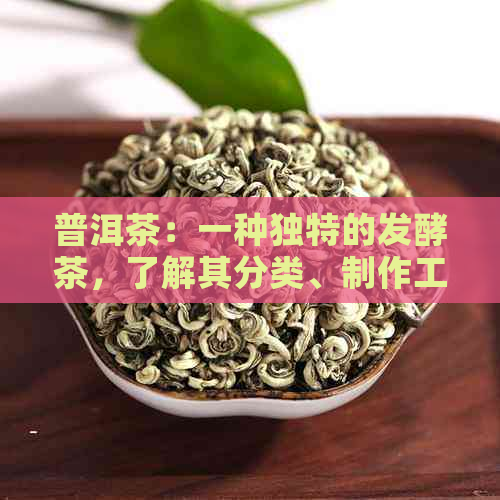 普洱茶：一种独特的发酵茶，了解其分类、制作工艺及功效