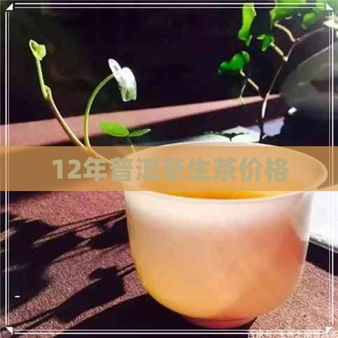 12年普洱茶生茶价格