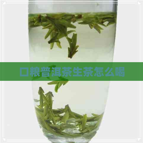 口粮普洱茶生茶怎么喝