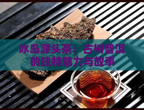 冰岛源头茶：古树普洱的独特魅力与故事