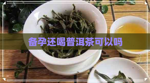 备孕还喝普洱茶可以吗