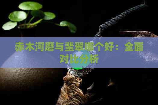 赤木河磨与蜚翠哪个好：全面对比分析