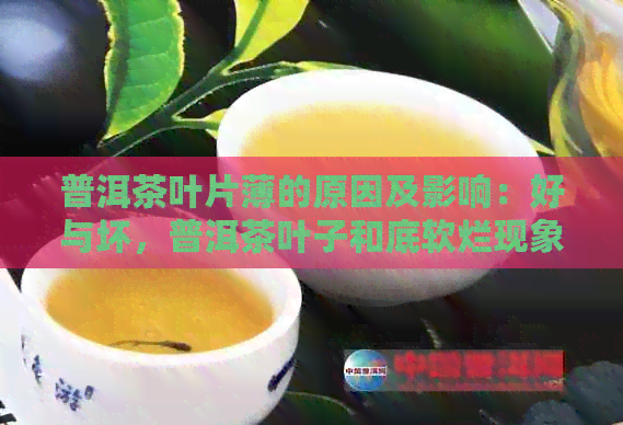 普洱茶叶片薄的原因及影响：好与坏，普洱茶叶子和底软烂现象解析