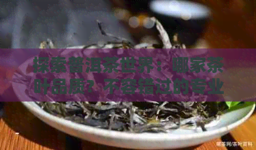 探索普洱茶世界：哪家茶叶品质？不容错过的专业推荐