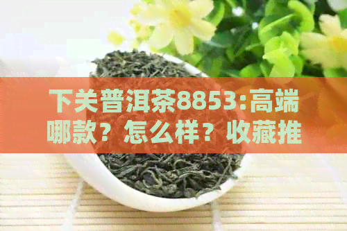 下关普洱茶8853:高端哪款？怎么样？收藏推荐，松鹤年最新价格。