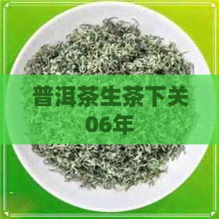 普洱茶生茶下关06年