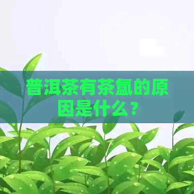 普洱茶有茶氲的原因是什么？