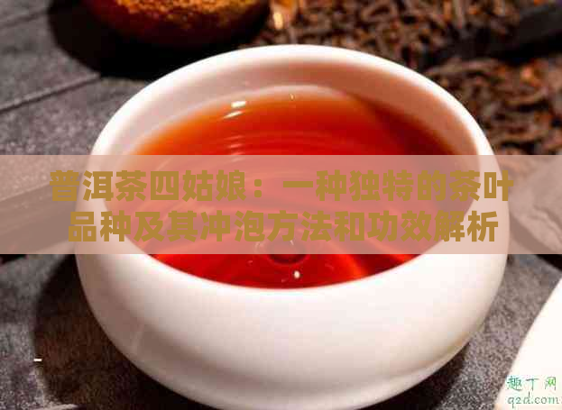 普洱茶四姑娘：一种独特的茶叶品种及其冲泡方法和功效解析