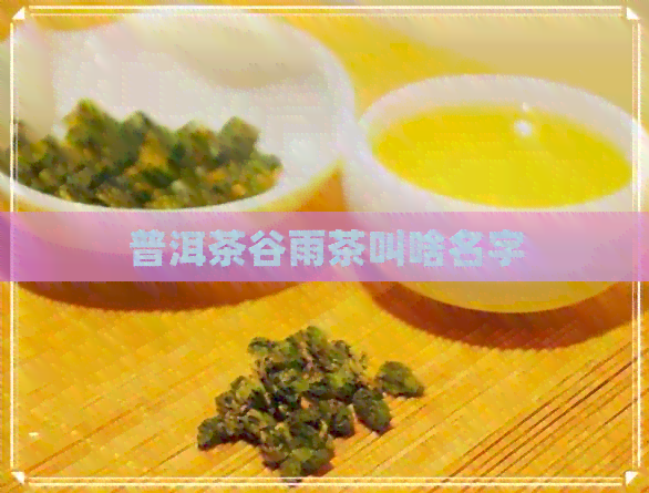 普洱茶谷雨茶叫啥名字