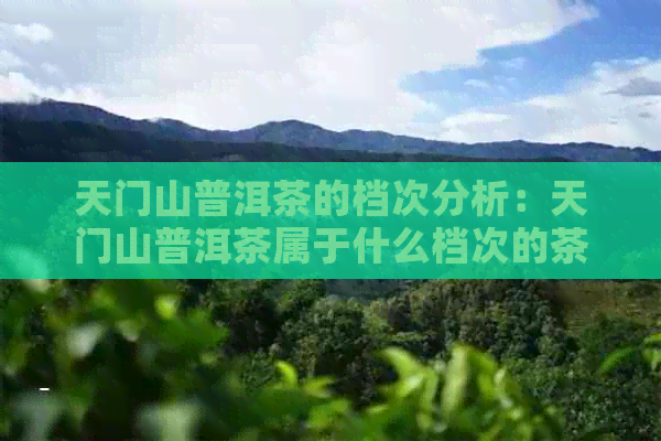 天门山普洱茶的档次分析：天门山普洱茶属于什么档次的茶叶