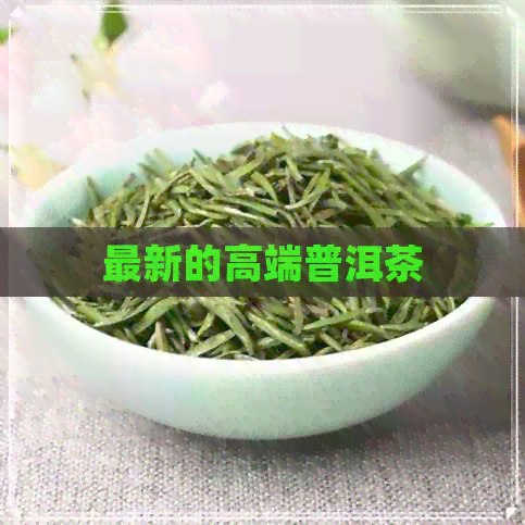 最新的高端普洱茶