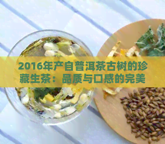 2016年产自普洱茶古树的珍藏生茶：品质与口感的完美结合