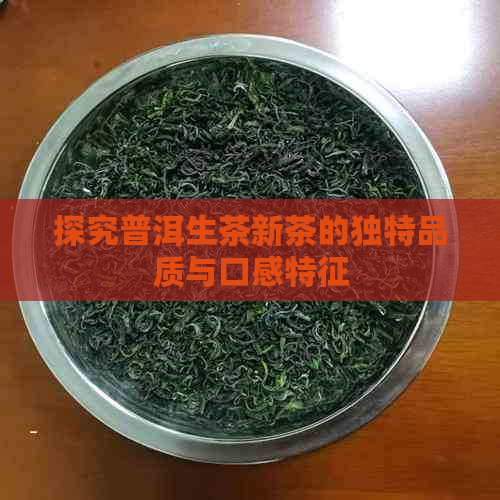 探究普洱生茶新茶的独特品质与口感特征