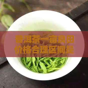 普洱茶一亩良田价格合理区间是多少？