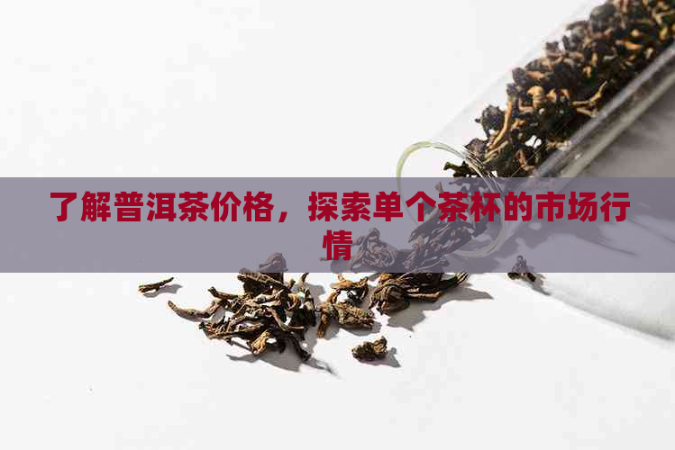 了解普洱茶价格，探索单个茶杯的市场行情