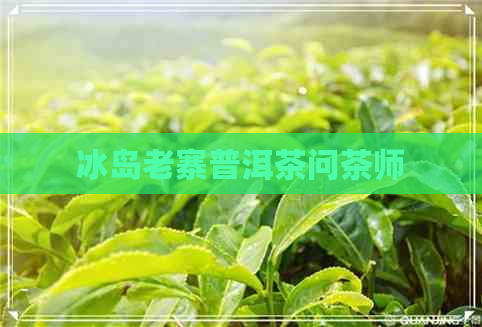 冰岛老寨普洱茶问茶师