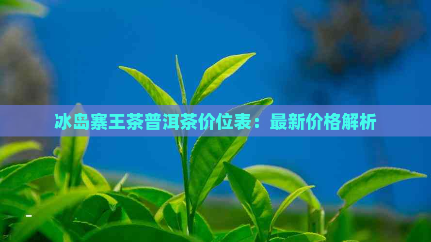 冰岛寨王茶普洱茶价位表：最新价格解析