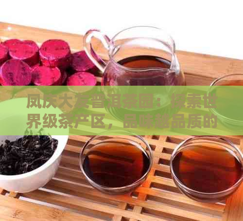 凤庆大友普洱茶园：探索世界级茶产区，品味越品质的普洱茶佳作