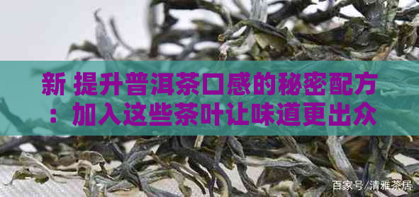 新 提升普洱茶口感的秘密配方：加入这些茶叶让味道更出众！