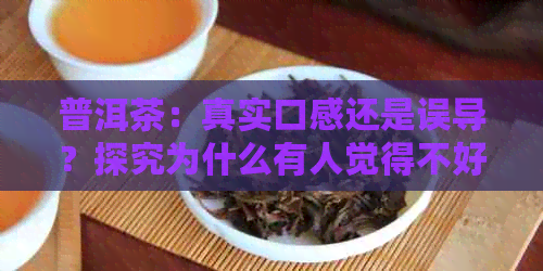 普洱茶：真实口感还是误导？探究为什么有人觉得不好喝