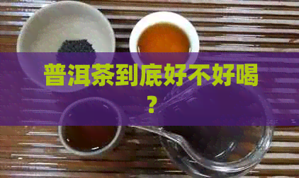 普洱茶到底好不好喝？