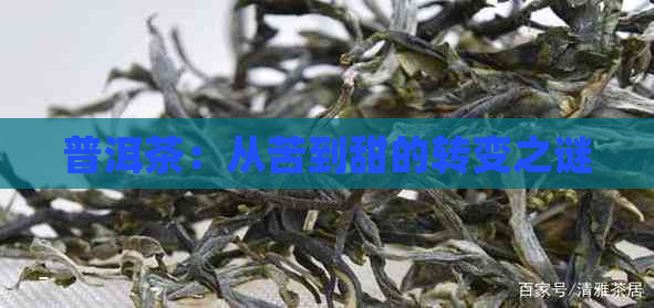 普洱茶：从苦到甜的转变之谜