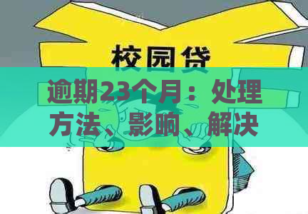 逾期23个月：处理方法、影响、解决方案及可能的法律后果全面解析