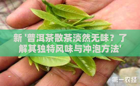 新 '普洱茶散茶淡然无味？了解其独特风味与冲泡方法'