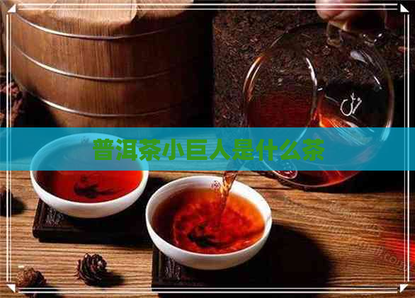 普洱茶小巨人是什么茶