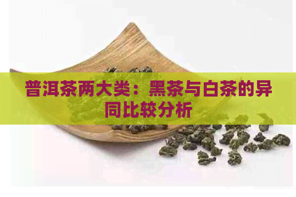 普洱茶两大类：黑茶与白茶的异同比较分析