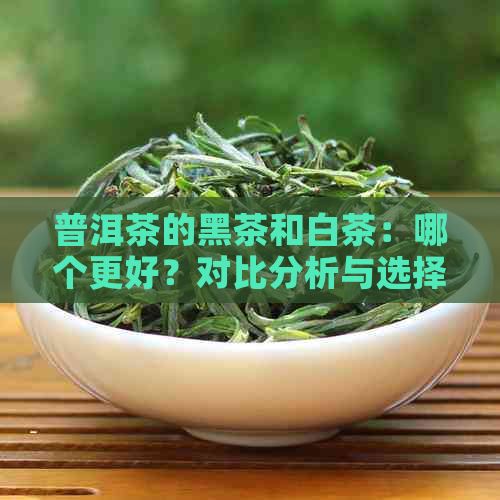 普洱茶的黑茶和白茶：哪个更好？对比分析与选择建议