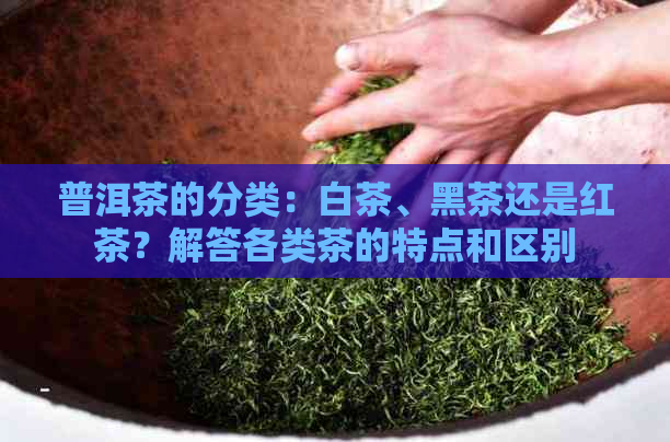 普洱茶的分类：白茶、黑茶还是红茶？解答各类茶的特点和区别