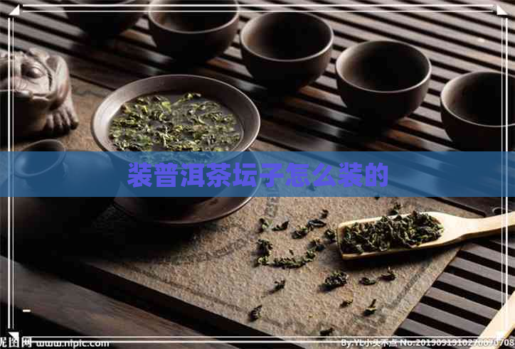 装普洱茶坛子怎么装的