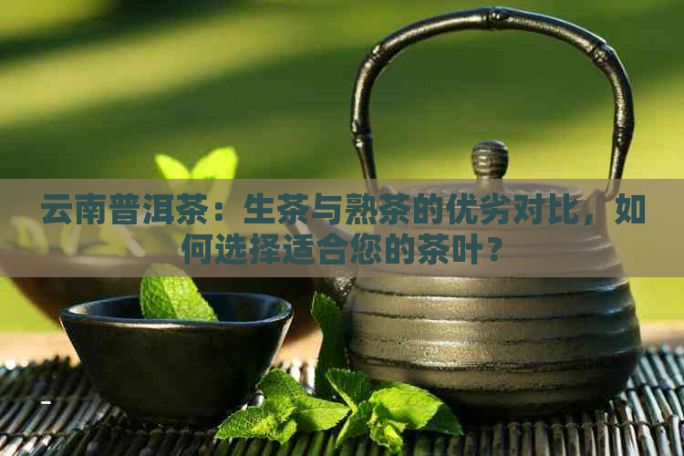 云南普洱茶：生茶与熟茶的优劣对比，如何选择适合您的茶叶？