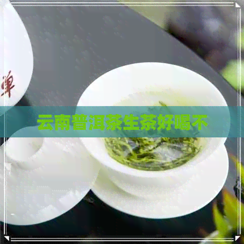 云南普洱茶生茶好喝不