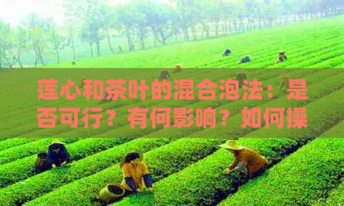 莲心和茶叶的混合泡法：是否可行？有何影响？如何操作？