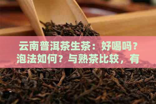 云南普洱茶生茶：好喝吗？泡法如何？与熟茶比较，有什么功效？