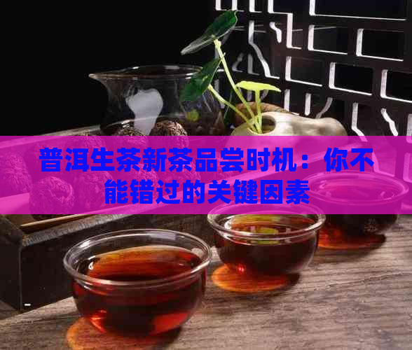 普洱生茶新茶品尝时机：你不能错过的关键因素