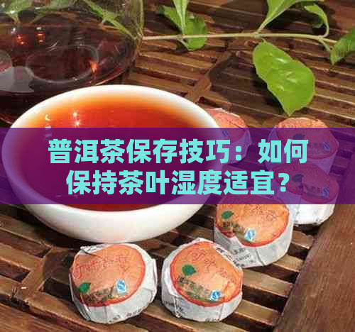 普洱茶保存技巧：如何保持茶叶湿度适宜？