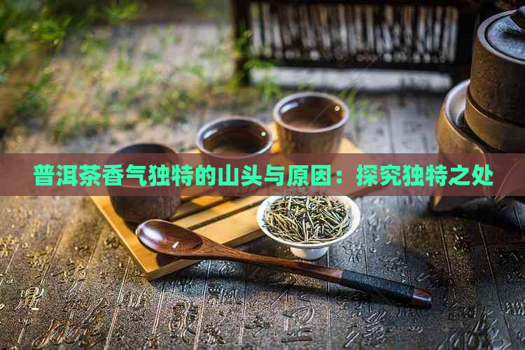 普洱茶香气独特的山头与原因：探究独特之处