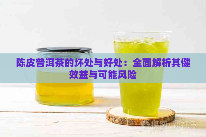 陈皮普洱茶的坏处与好处：全面解析其健效益与可能风险