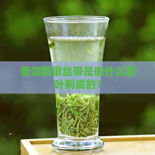 普洱茶银丝带是由什么茶叶制成的？