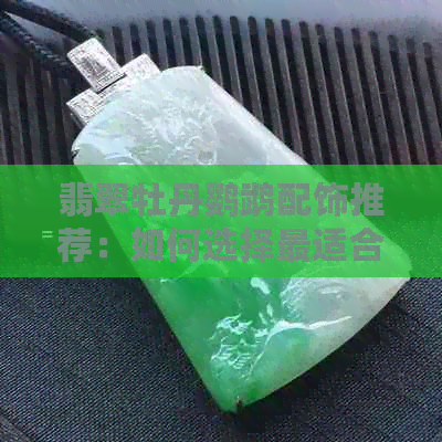 翡翠牡丹鹦鹉配饰推荐：如何选择最适合的珠宝搭配？